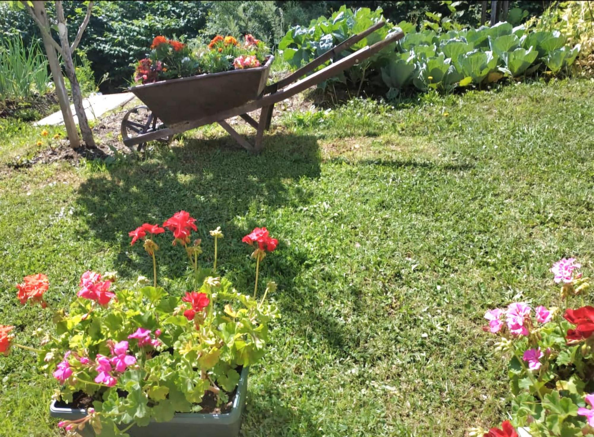 Etno Smjestaj Bjelasica Kolašin Exterior foto